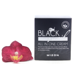 8809663751753-300x250 Mizon Black Snail All In One Cream 75ml